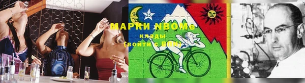 шишки Алексин