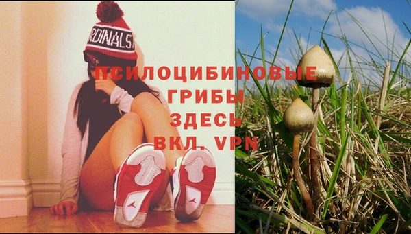 кокаин перу Алзамай