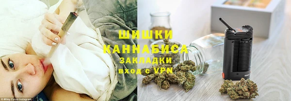 шишки Алексин